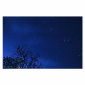 裸体美女2小时免费看
